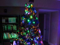 29 Christmas decoration - December 12, 2016